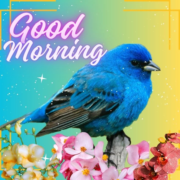 A small blue bird perched among flowers good morning images.